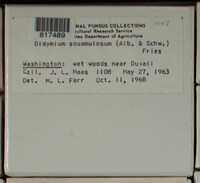 Image Associated With the Occurence